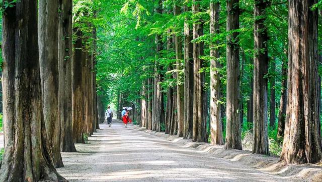 正在央视热播！电视剧《生万物》取景地在这里……
