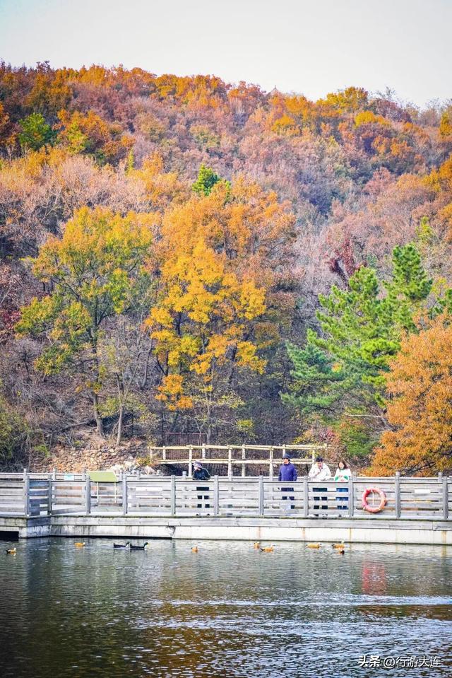 秋色有多惊喜？来白云雁水走一走~