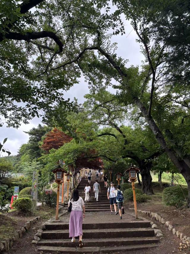 富士山下，谁能凭爱意要富士山私有
