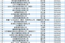 2024民营企业500强揭晓：京东、阿里巴巴、恒力排前三图片