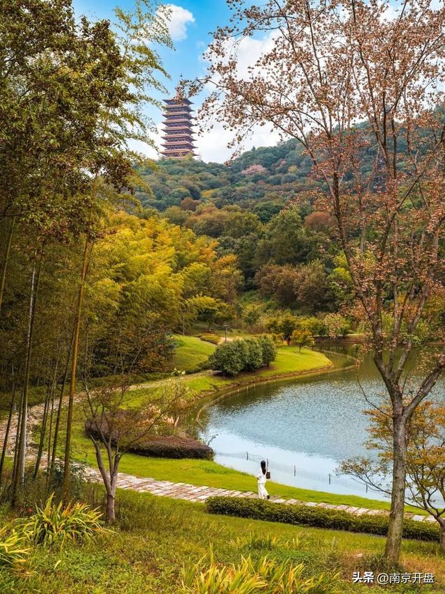 突发！牛首山，又有大手笔！