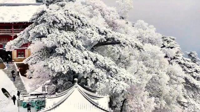 华山雪落，一脚踏进水墨仙境