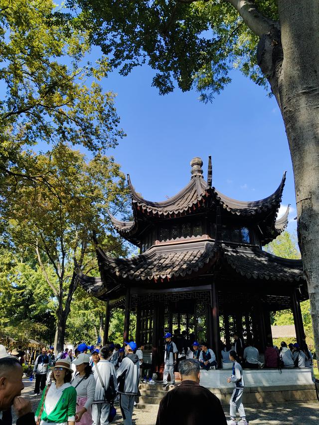 踏入苏州拙政园才懂得什么叫“一园藏尽江南梦”