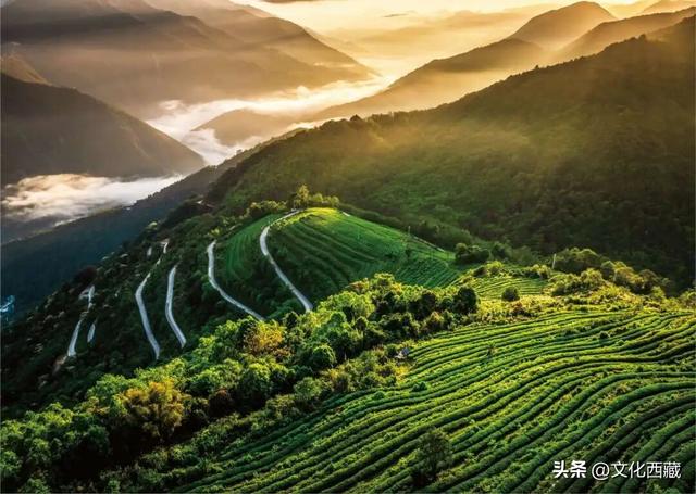 这几年最大的教训，想去西藏得趁早！