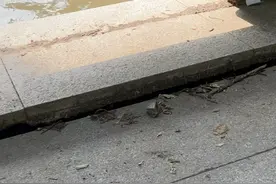 江苏钓友发现路面沉降，旁边两座铁路桥，丹阳站回应图片