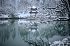 做人无乐趣，只缘未读张岱。图片