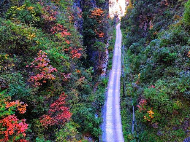 让我再看你一眼🧡