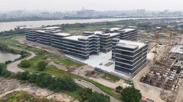 中山这片花海，开了！ | 中山镇街