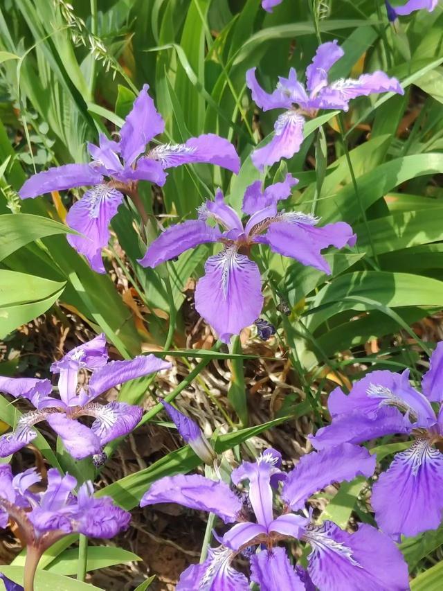 深山藏翡翠秘境！这片山水把夏日浪漫展现