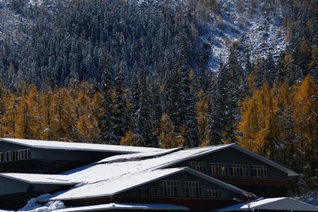 达古冰川 “季节盲盒” | 山顶雪堆成画，山下彩林留余韵
