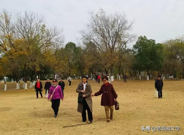 盘龙悠远银杏黄 水中学友情谊长