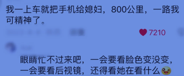 出远门你媳妇坐在副驾驶上在干嘛？评论区让人笑到肚子痛，人才啊