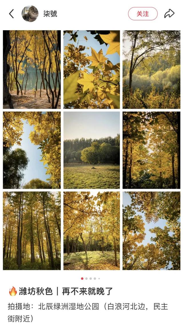 我捡，我捡，我在潍坊捡捡捡！