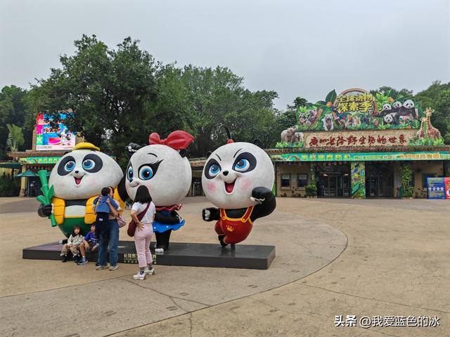 参观广州长隆野生动物园，全程感觉眼累手累腿不累