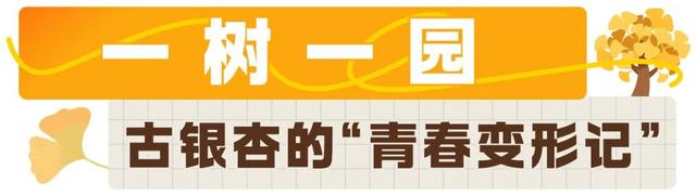 古城逆生长！汉阳迎来“时尚变形记”
