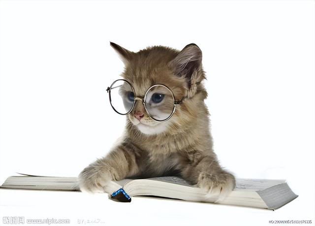 十二生肖脸谱 十二味药