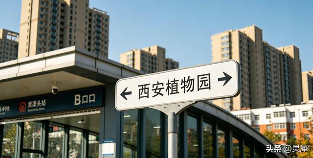 0元直达！西安最大兰花园花开成海，不挤人错过等一年。