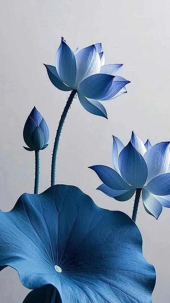 两处相思同望月，此刻也算共团圆