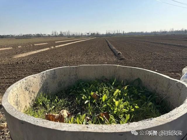 冠县乡韵·贾镇岑庄