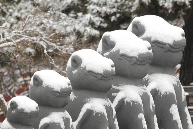 沈城雪落 东陵古境如画