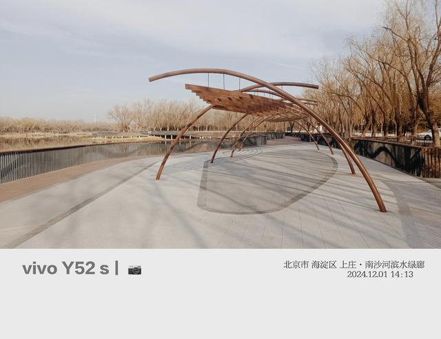 随拍掠影（二）稻香湖湿地与南沙河滨水绿廊秋色冬韵