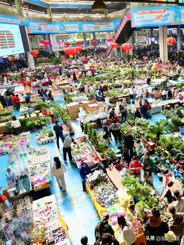 假期最后一天，留给斗南！好吗？把新年浪漫打包回家！