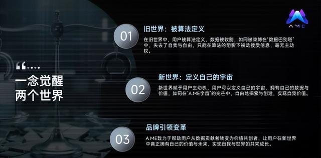 AME携手新加坡莱福士集团成功举办2025全球资产流动性数字化峰会