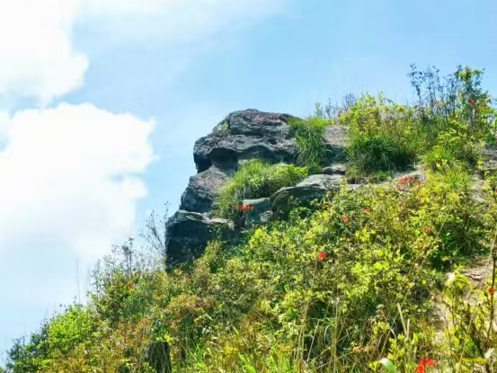 大圣文化的祖地，为何是福建顺昌？