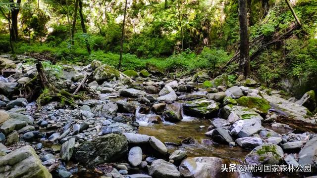 坐落于秦岭深处的黑河森林公园,正美得更肆无忌惮