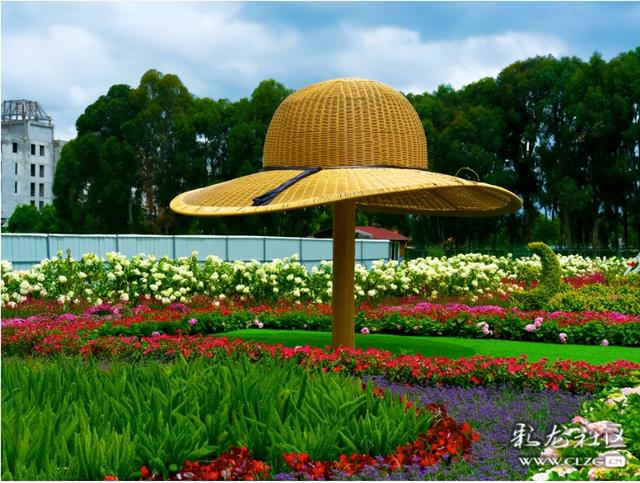 山之顶云之海花之田
