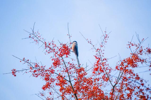 西安漫游之逆行者
