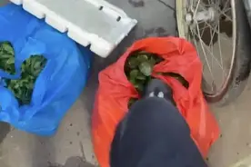 男子自称是城管踩烂摊贩的菜还拍视频辱骂，官方：系冒充图片