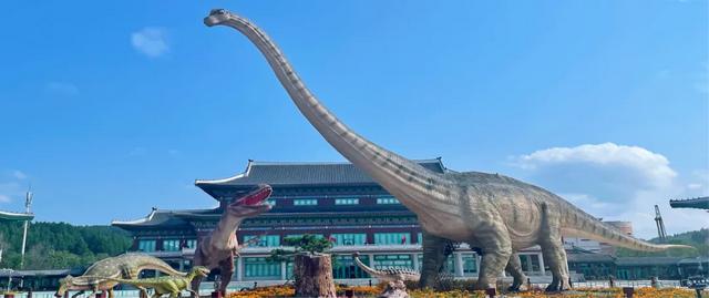 大学新生专属福利！免票+优惠→