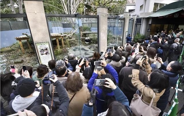 没有回旋余地，中国下令直接收回，17万日本人泪奔，高市闯祸了！