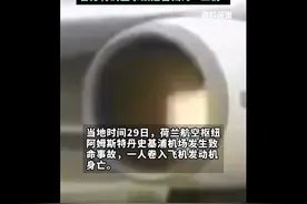 机场发生一起“可怕事故”图片