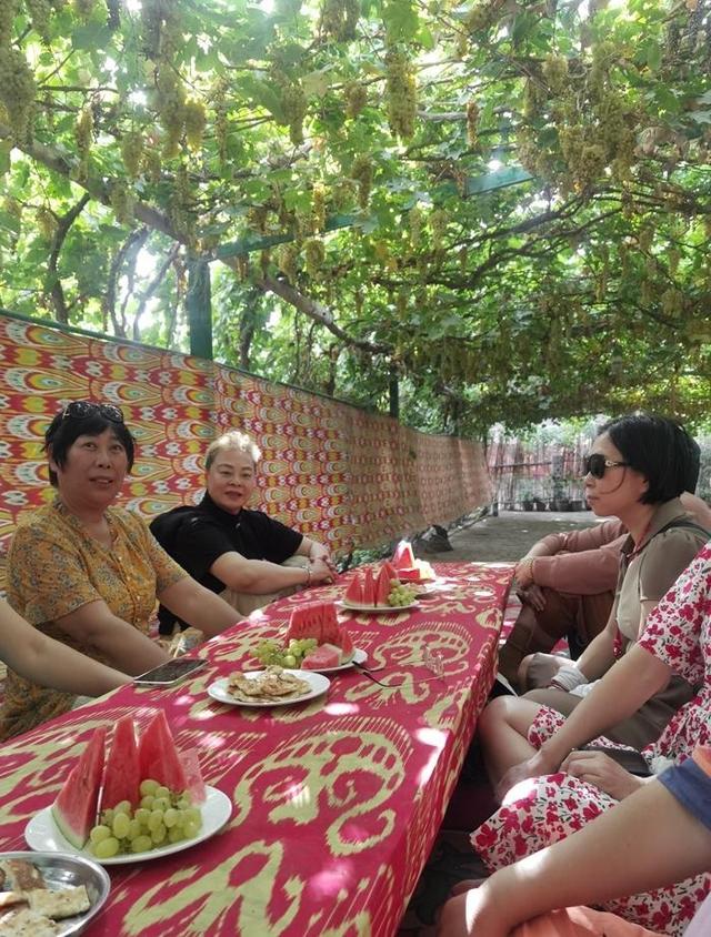 游新疆吐鲁番的坎儿井和葡萄沟