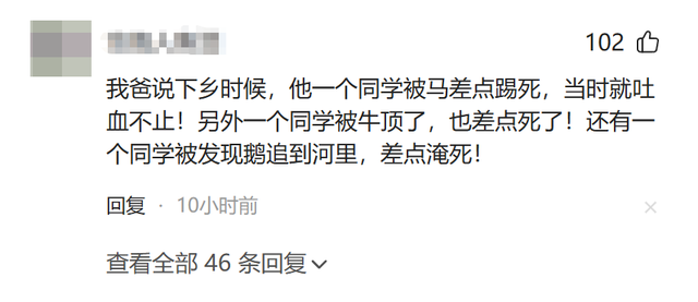 男子被马踹下体后续，没买票被骂活该，景区推卸责任，今重新开业