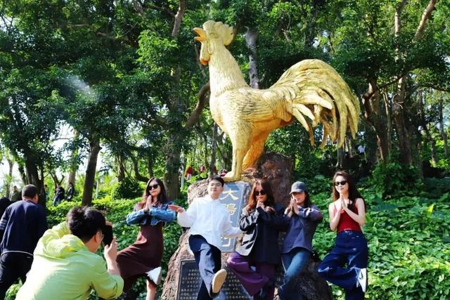 “兴”动海口！全城宠粉进行时→