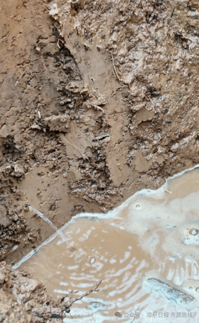 奇观！郑州南部多处历史泉眼集体复涌，形成温泉小河引围观