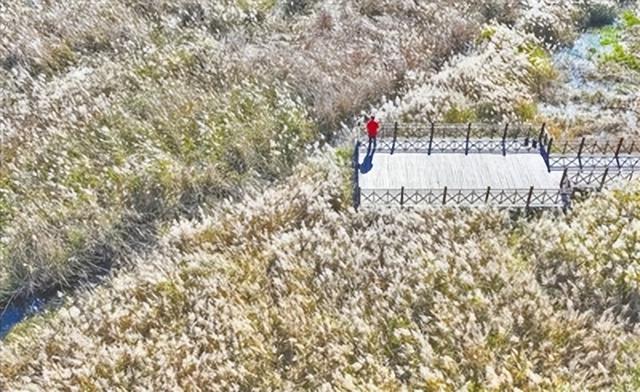 邂逅初冬！漫步郑州，在色彩斑斓中行走