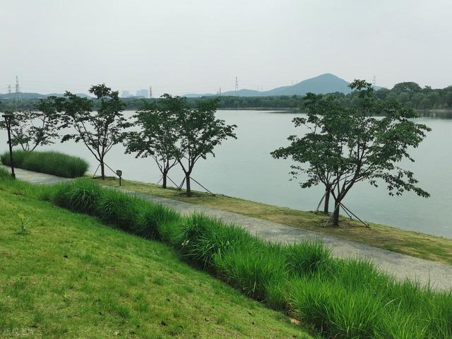 南京这些小众公园被严重低估了，人少景美还免费，看看你去过几个
