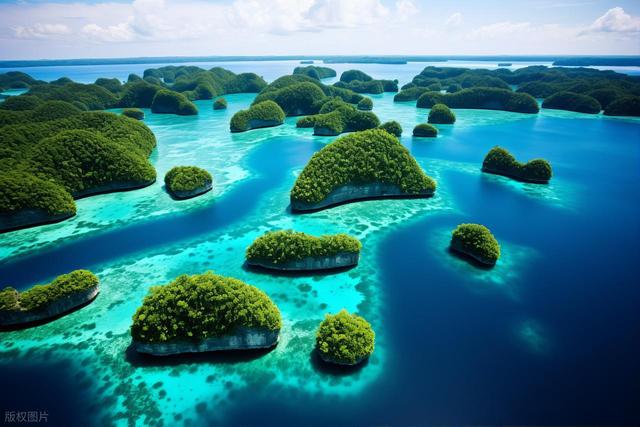 抱紧美日大腿，停飞中国航班、拒绝中国游客的小国，如今怎样了？