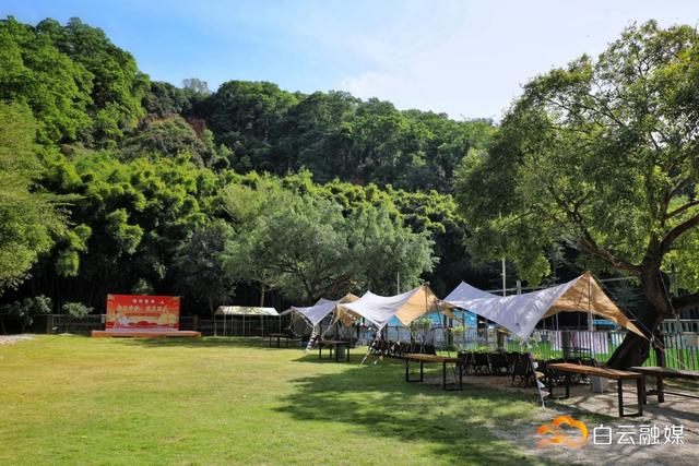 以“乡村+营地”激发近郊文旅活力！太和镇头陂村发展多元业态营地经济