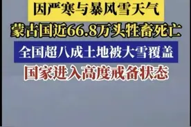 蒙古雪灾过后，尸横遍野！触目惊心，大自然的力量无法抗拒！图片