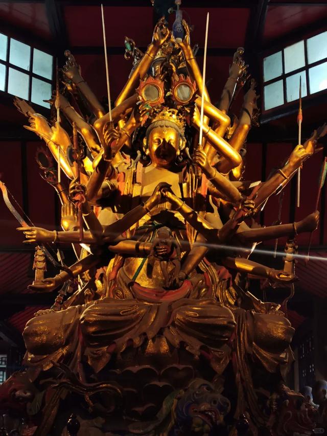 快去!成都金秋赏桂NO.1,地铁3号线直达,错过等一年!