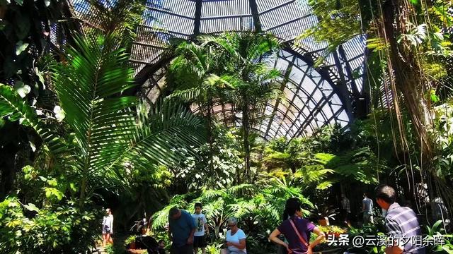 美国东西海岸游（七）——海风与时光交织的圣地亚哥一日游