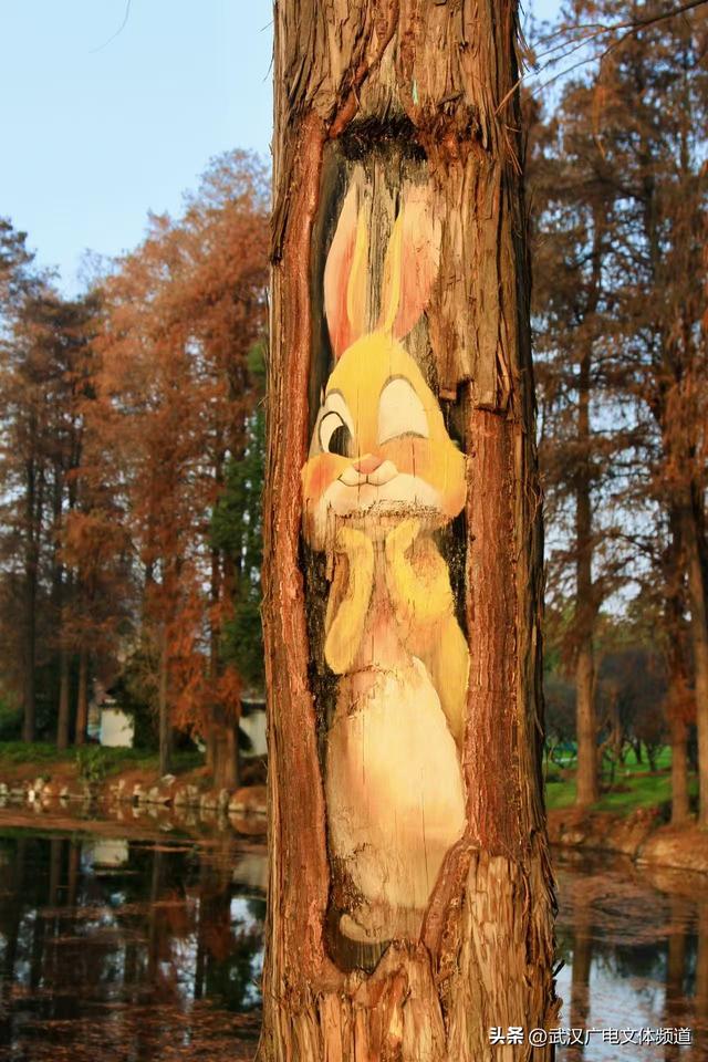 再启新章 武汉东湖梅园将于2026年1月1日开园