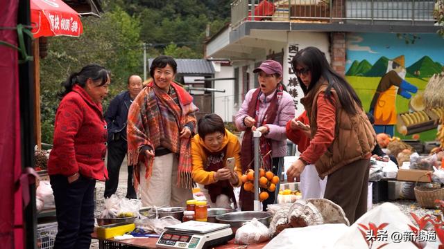 邂逅浪漫秋日，汉中展开超美自然画卷