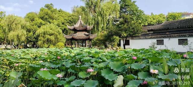 看杭州：墅园-大运河书法公园