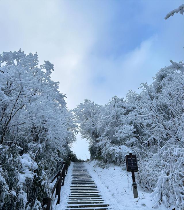 世界罕见“全球独一无二，四川十大奇景”，堪称大自然的偏心之作